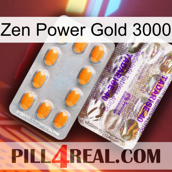 Zen Power Gold 3000 new12.jpg